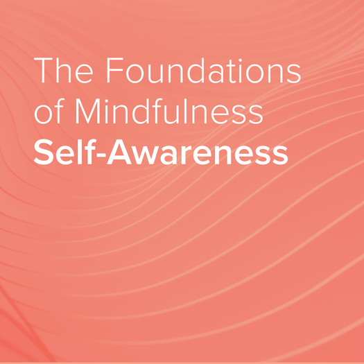 Self-Awareness|||||Beginner's Mind||Generosity