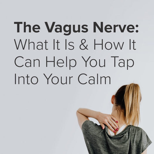 vagus nerve function|Vagus Nerve Function|Vagus Nerve Function|Vagus Nerve Function|Vagus Nerve Function