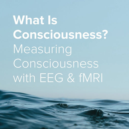 |Consciousness|Consciousness|consciousness|consciousness|consciousness|consciousness, guided meditation|consciousness EEG, guided meditation