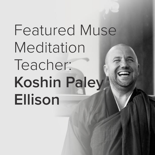 Koshin Paley Ellison